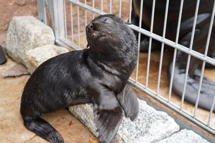 fot. Zoo Wrocław