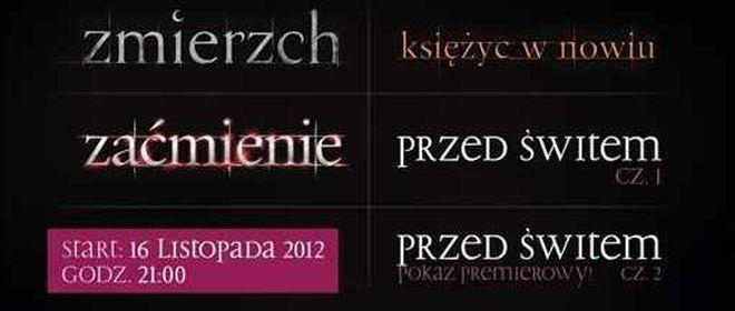 materiały organizatora