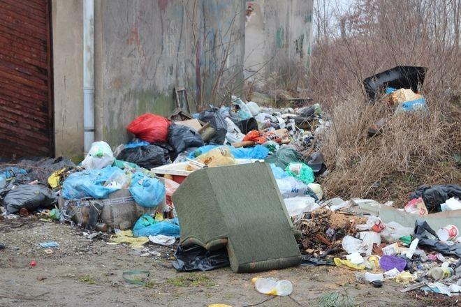 fot. Archiwum Tuwroclaw.com