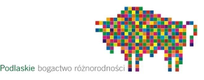 materiały organizatora