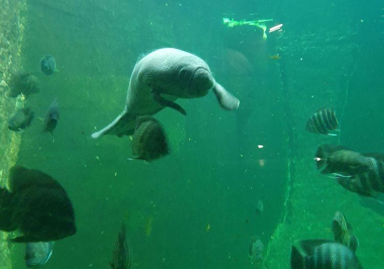 fot. Materiały prasowe/wrocławskie zoo