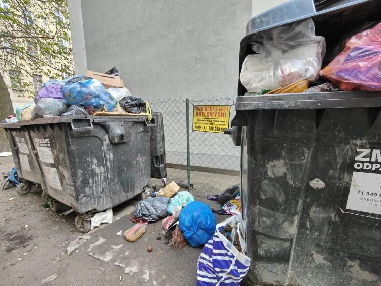 fot. Zdjęcie nadesłane przez czytelnika