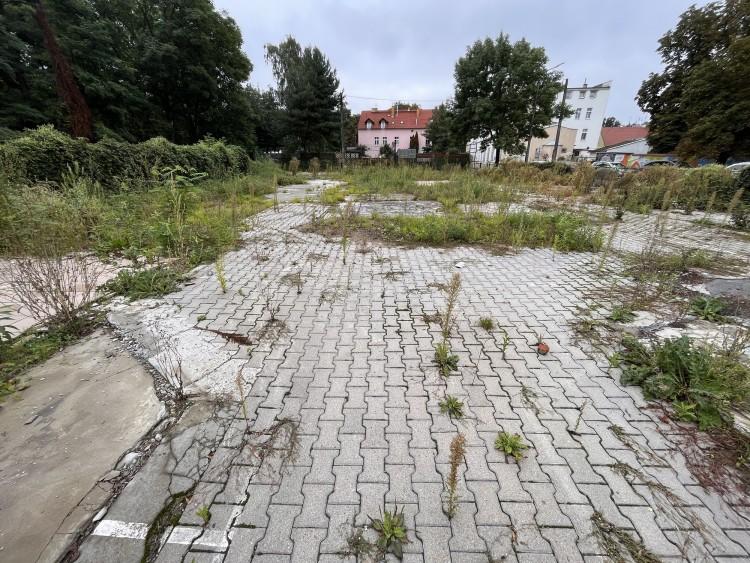 fot. Jakub Jurek