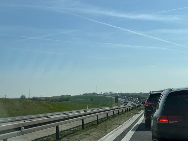 fot. Czytelniczka