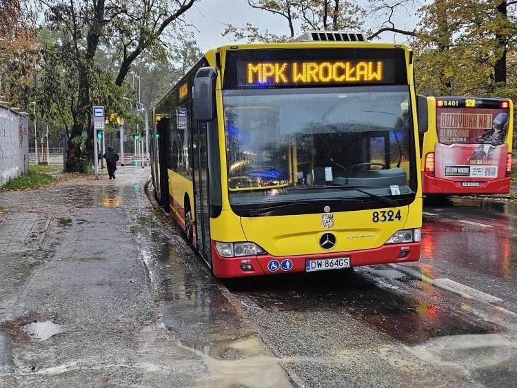 fot. Kinga Mierzwiak