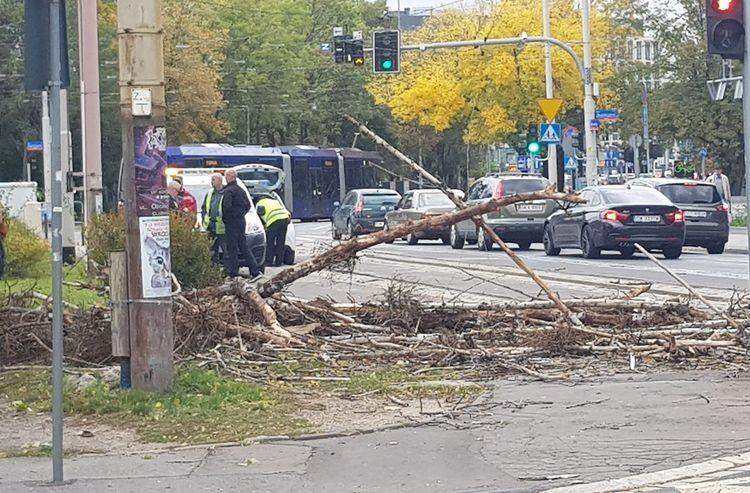 fot. Aleksander Hutyra