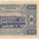 zdjęcie nr 8