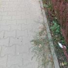 zdjęcie nr 4