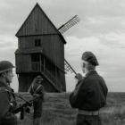 zdjęcie nr 20