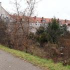 zdjęcie nr 8