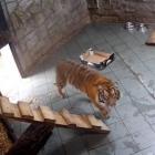 fot. zoo screen