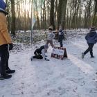 zdjęcie nr 8
