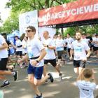 zdjęcie nr 14