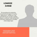 zdjęcie nr 20