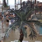 Wrocławski aquapark oferuje naukę pływania w dwóch lokalizacjach – przy ul. Borowskiej,...