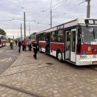 zdjęcie nr 15