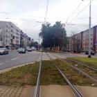 zdjęcie nr 13