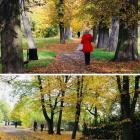 Park Skowroni  Autor: JJ