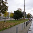 zdjęcie nr 10