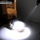   Autor: Materiały policji