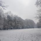 zdjęcie nr 37