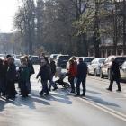 zdjęcie nr 51