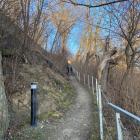 zdjęcie nr 31