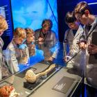 BODY WORLDS