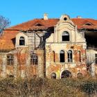 zdjęcie nr 11