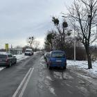zdjęcie nr 8