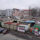 Fotka nr 3 z 12