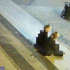   Autor: Dolnośląska Policja