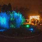 Światłogród - Ogród Botaniczny, Wrocław  Autor: Ivan Prinus