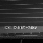 zdjęcie nr 10