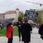 zdjęcie nr 10