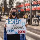   Autor: Materiały organizatora