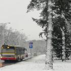 zdjęcie nr 7