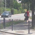   Autor: mat. Straży Miejskiej Wrocławia