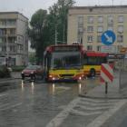 Fotka nr 3 z 6
