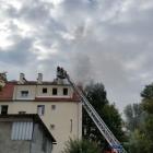 zdjęcie nr 8