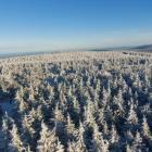  fot. Górski Raj Świeradów Zdrój (Facebook)