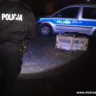 zdjęcie nr 4