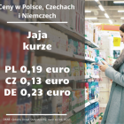 zdjęcie nr 10