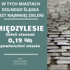 Fotka nr 1 z 21