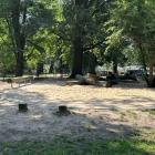Park Kleciński we Wrocławiu  Autor: AP
