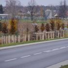 zdjęcie nr 21