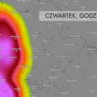 zdjęcie nr 5