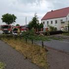 zdjęcie nr 13
