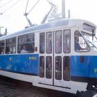 Fotka nr 5 z 15