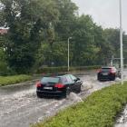zdjęcie nr 7